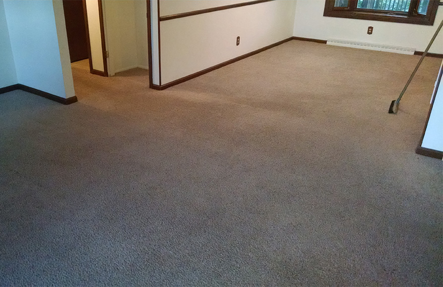 11Colossal Carpet Care Office Photo