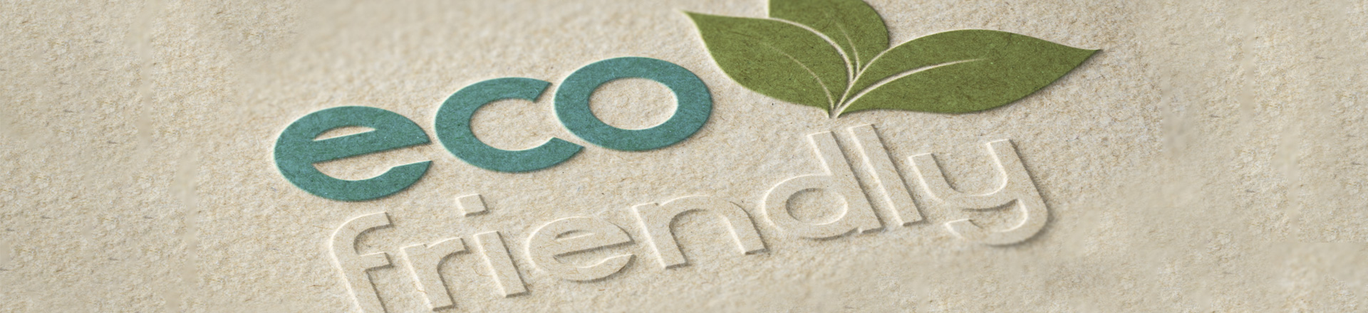 11Eco Friendly Carpet Cleaning