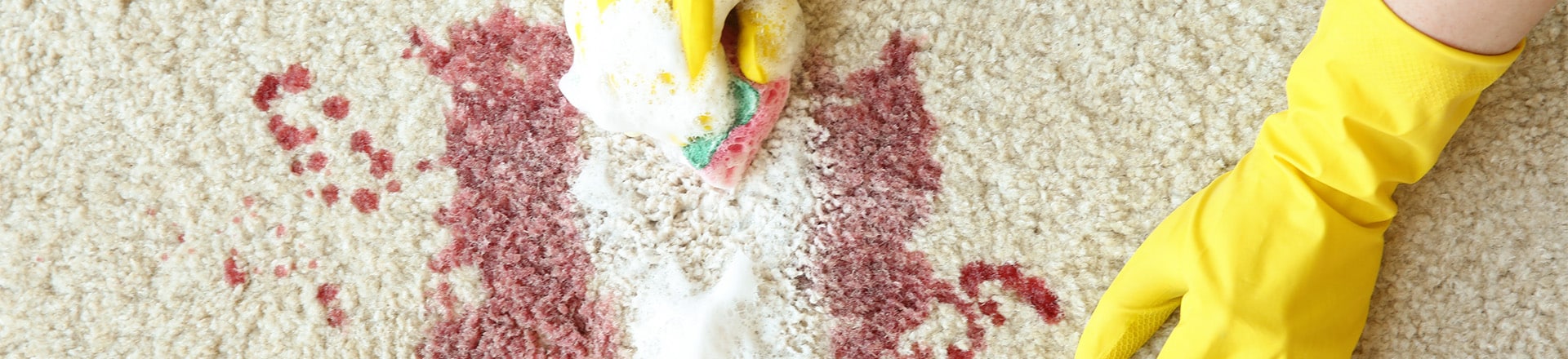 11Deal with the 5 Worst Carpet Stains with this Article