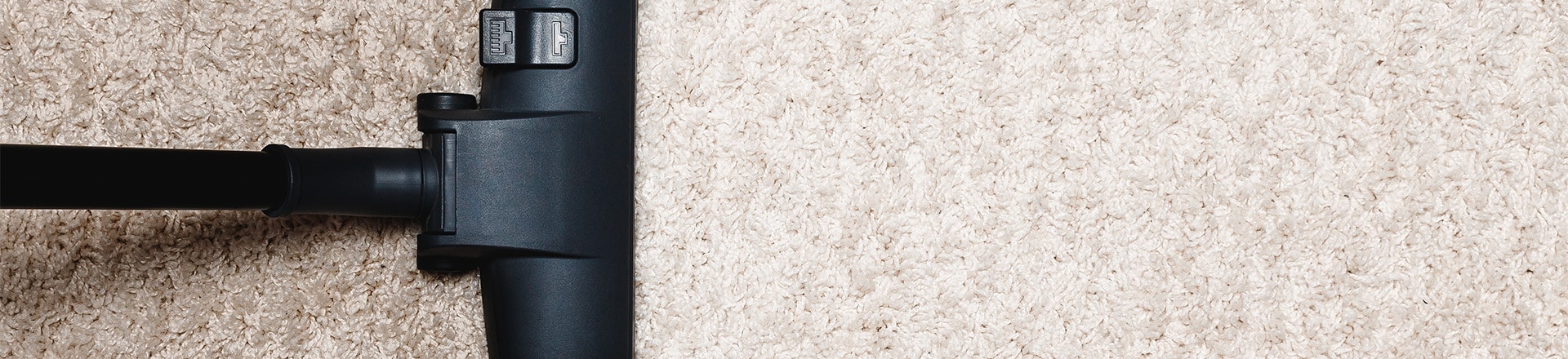 Ensuring a Safe, Clean Home: Colossal Carpet Care's Eco-Friendly Carpet Cleaning Solutions